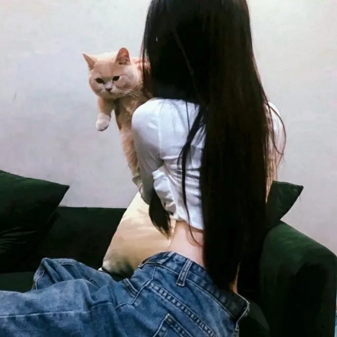 爱生事家庭粤语