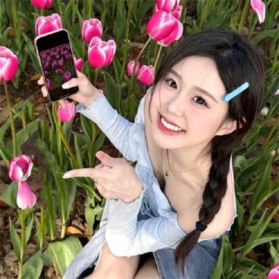 神犬小七第二季