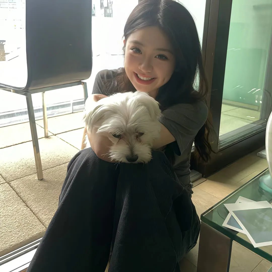 法与情